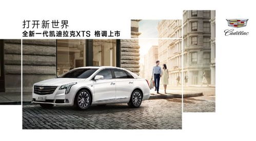 是的 车展又来了